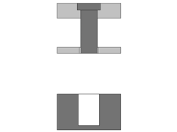 CpNgH